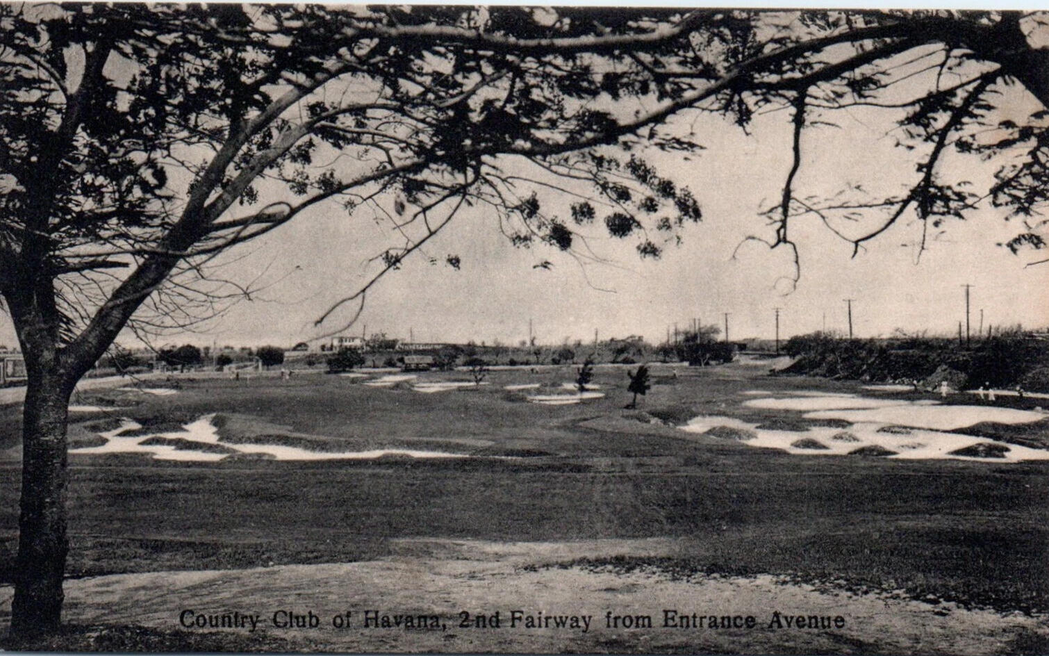 Copertina Mariagiorgia Ulbar Transcontinentale La collana Isola Copertina Mariagiorgia Ulbar Transcontinentale La collana Isola